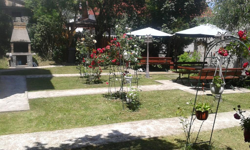 סינאיה Pensiunea Micsunica מראה חיצוני תמונה